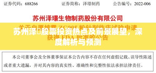 苏州泽璟股票投资热点及前景展望，深度解析与预测