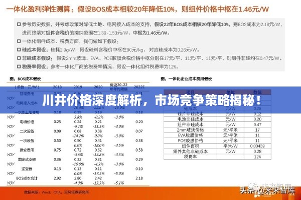 川井价格深度解析，市场竞争策略揭秘！