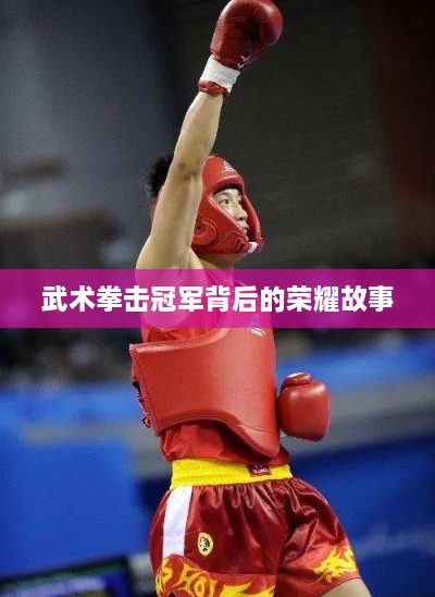 武术拳击冠军背后的荣耀故事