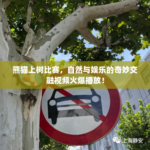 避难就易 第2页