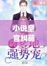 小说皇宫纠葛不断，小说皇宫纠葛不断在线阅读 
