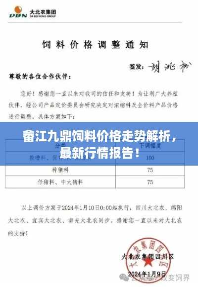 畲江九鼎饲料价格走势解析，最新行情报告！