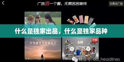按部就班 第2页