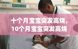 花香鸟语 第2页