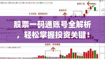 股票一码通账号全解析，轻松掌握投资关键！