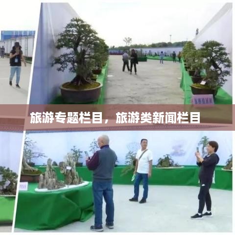 绝无仅有 第2页