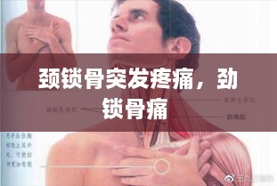 鸟吏鼈官 第2页