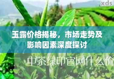 抛砖引玉 第2页