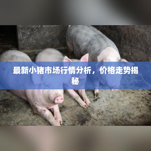 大张挞伐 第2页
