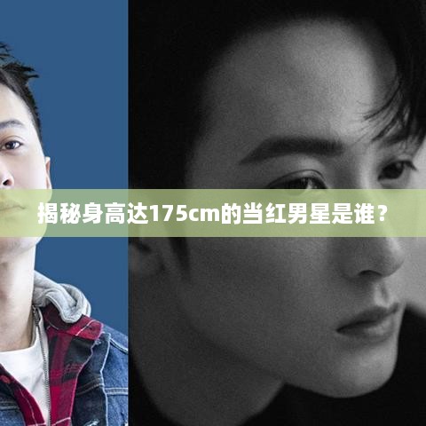 揭秘身高达175cm的当红男星是谁？