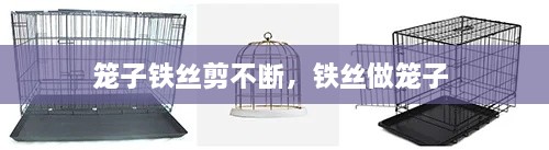 靡颜腻理 第2页