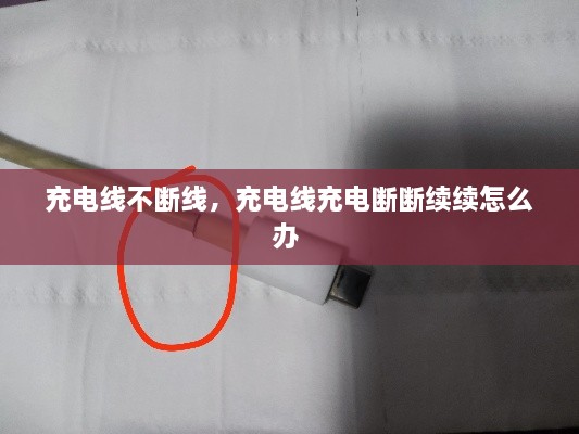 志同道合 第2页