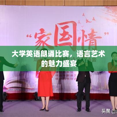 大学英语朗诵比赛，语言艺术的魅力盛宴