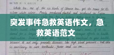 突发事件急救英语作文，急救英语范文 