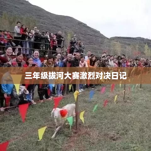 小有成就 第2页