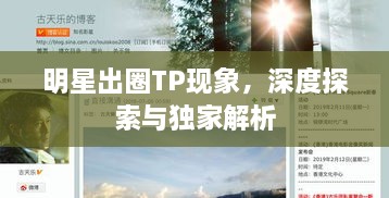 明星出圈TP现象，深度探索与独家解析