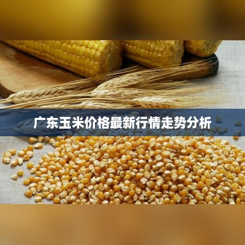 喜出望外 第2页