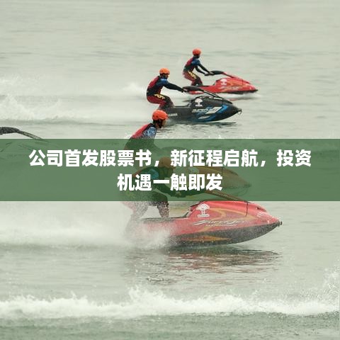 公司首发股票书，新征程启航，投资机遇一触即发
