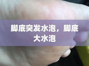 荣华富贵 第2页