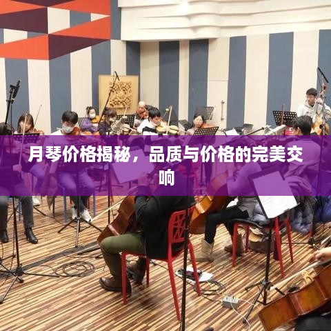 月琴价格揭秘，品质与价格的完美交响