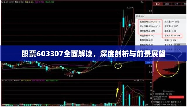 股票603307全面解读，深度剖析与前景展望
