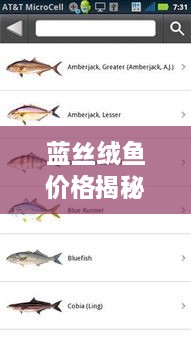 蓝丝绒鱼价格揭秘，市场分析、购买指南一网打尽