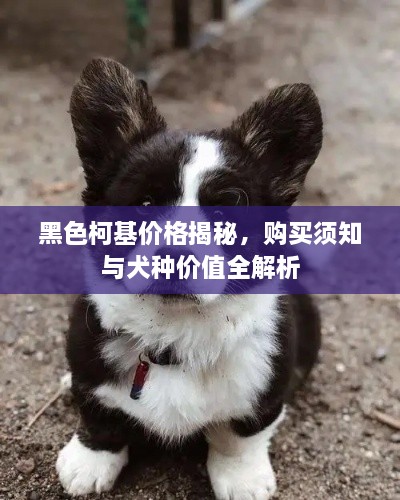 竭尽全力 第2页