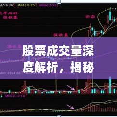莺啼鸟啭 第2页