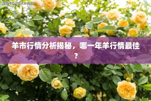 羊市行情分析揭秘，哪一年羊行情最佳？