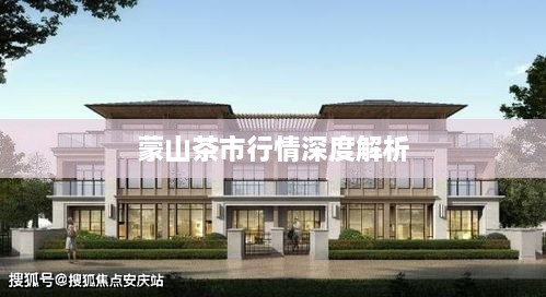 蒙山茶市行情深度解析