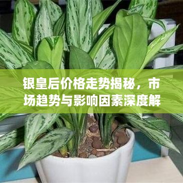 风流倜傥 第2页
