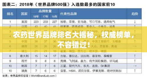 饭来张口 第2页