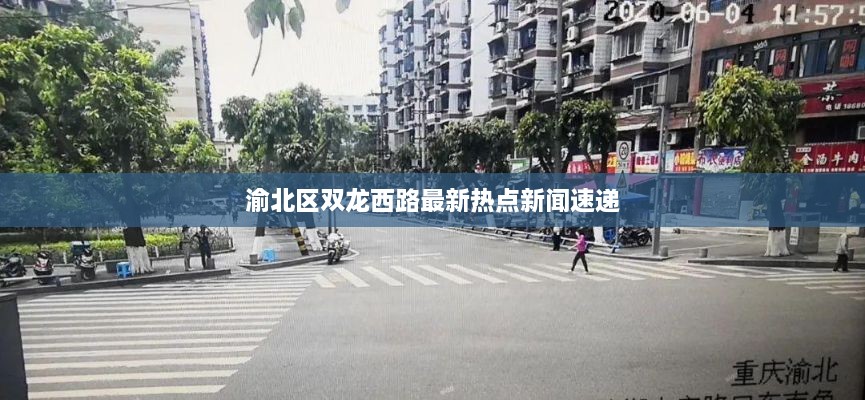 鸟之将死 第2页
