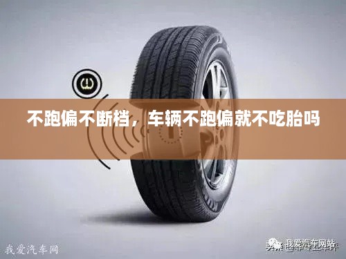 寥若晨星 第2页