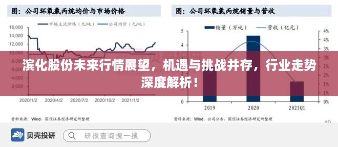 滨化股份未来行情展望，机遇与挑战并存，行业走势深度解析！