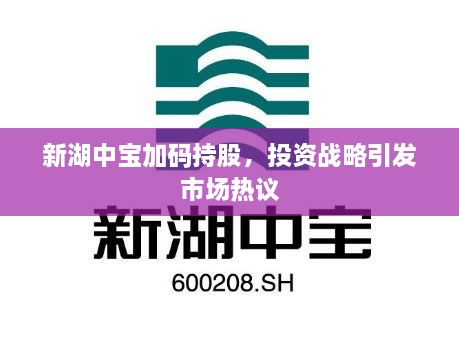 新湖中宝加码持股，投资战略引发市场热议