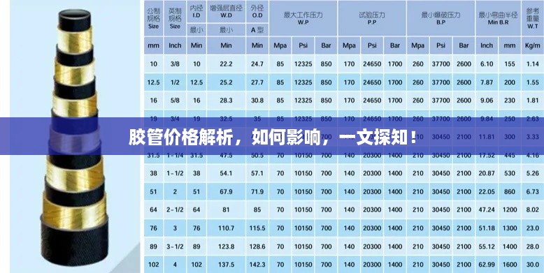 不求甚解 第2页