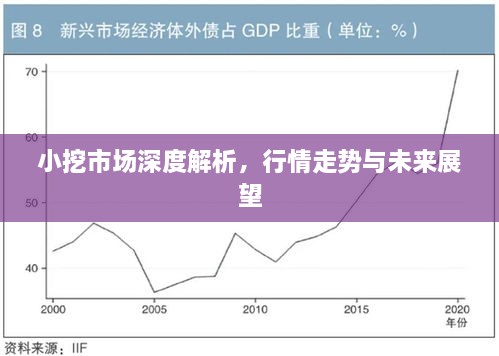 小挖市场深度解析，行情走势与未来展望
