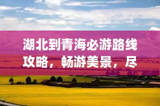 行疾如飞 第2页