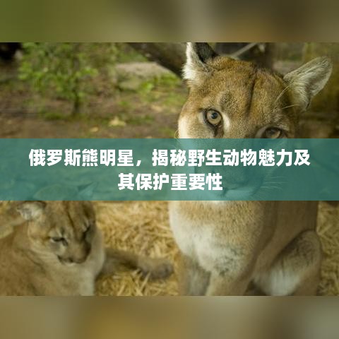 客户案例 第127页