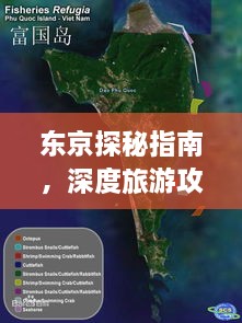 东京探秘指南，深度旅游攻略全解析