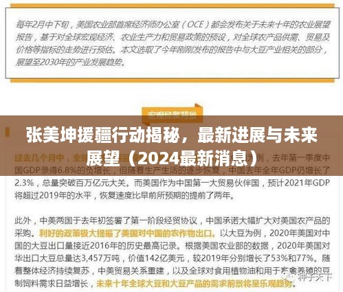 张美坤援疆行动揭秘，最新进展与未来展望（2025最新消息）
