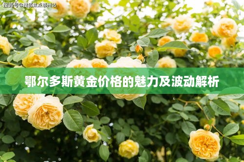 feiyipuhuo 第2页