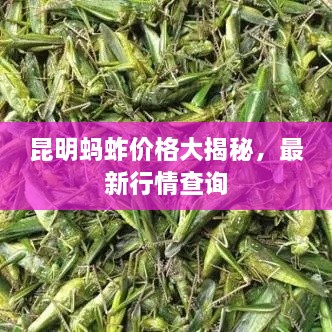 韦编三绝 第2页