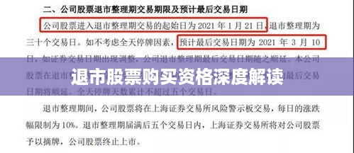 退市股票购买资格深度解读
