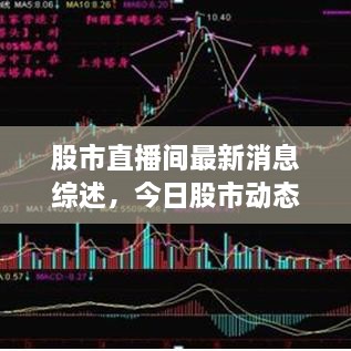 雍容雅步 第2页