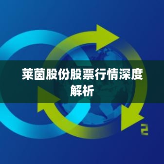 莱茵股份股票行情深度解析