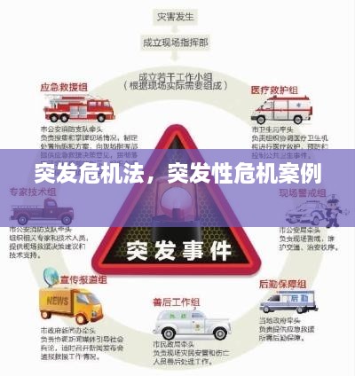突发危机法，突发性危机案例 