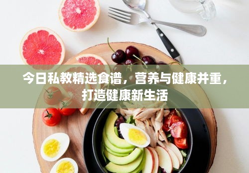 今日私教精选食谱，营养与健康并重，打造健康新生活