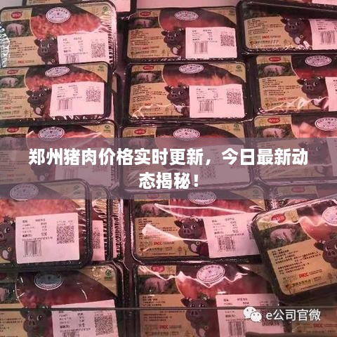 郑州猪肉价格实时更新，今日最新动态揭秘！